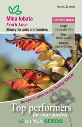 Picture of Mina Lobata Exotic Love