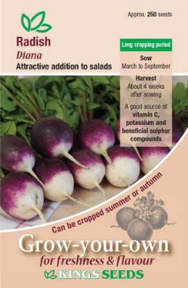 Picture of Radish Diana
