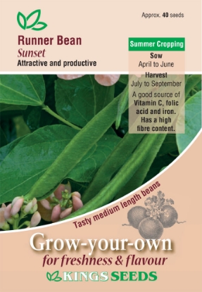 Picture of Runner Bean Sunset 