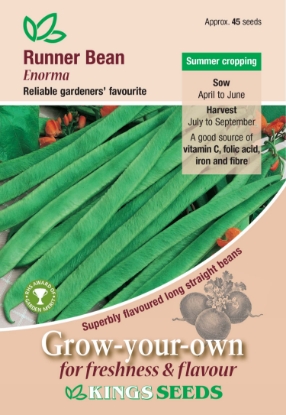 Picture of Runner Bean Enorma 