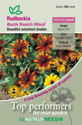 Picture of Rudbeckia Rustic Dwarf Mixed