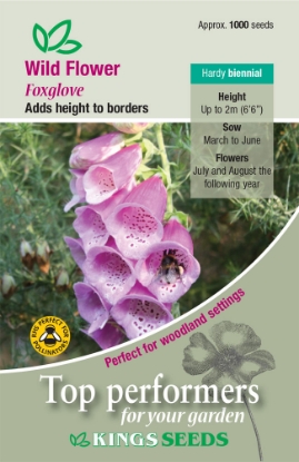 Picture of Wild Flower Foxglove