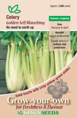 Picture of Celery Golden Self Blanching