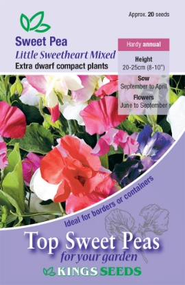 Picture of Sweet Pea Little Sweetheart Mix
