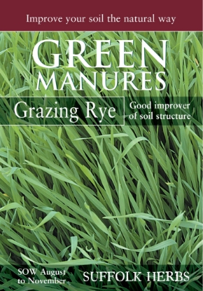 Picture of Grazing Rye (Pack For 6 Sq.M)