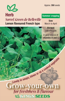 Picture of Herb Sorrel Green De Belleville (French)