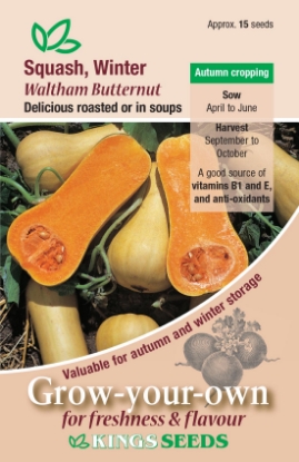 Picture of Squash Winter Butternut Waltham Butternut