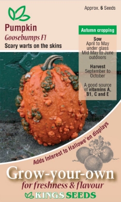 Picture of Pumpkin Goosebumps