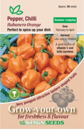 Picture of Pepper (Chilli) Habanero Orange 