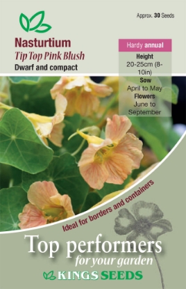 Picture of Nasturtium Tip Top Pink Blush