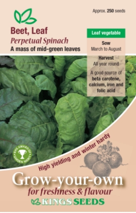 Picture of Beet Leaf Perpetual Spinach RHS AGM