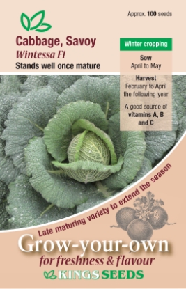 Picture of Cabbage, Savoy Wintessa F1