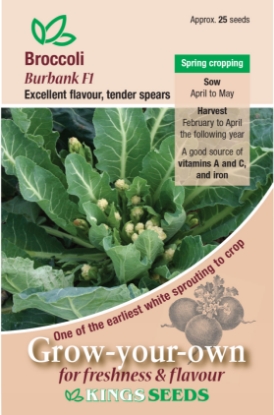 Picture of Broccoli Sprouting Burbank F1