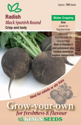 Picture of Radish Black Spanish Round