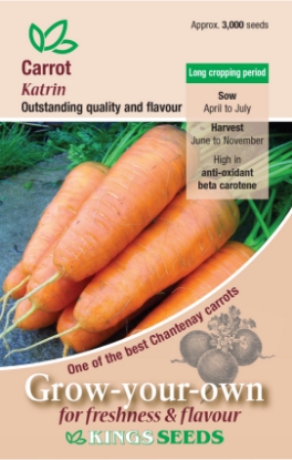 Picture of Carrot Katrin