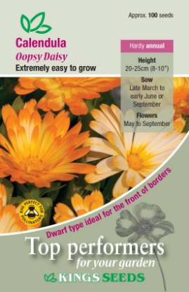 Picture of Calendula Oopsy Daisy