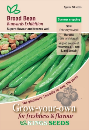 Picture of Broad Bean Bunyards Exhibition 