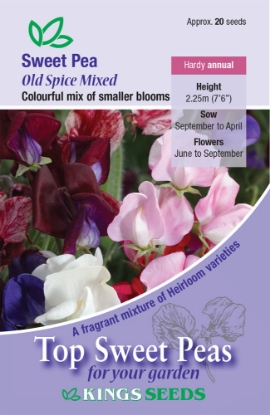 Picture of Sweet Pea Old Spice Mixed