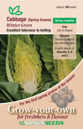 Picture of Cabbage, Spring Greens Winter Green