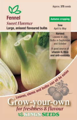 Picture of Fennel Sweet Florence (Feoniculum Vulgare Mill)