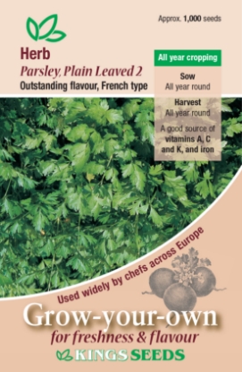 Picture of Herb Parsley Plain Leaved 2 (French)