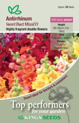 Picture of Antirrhinum Sweet Duet Mixed F1