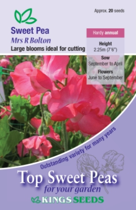 Picture of Sweet Pea Mrs Bolton