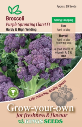 Picture of Broccoli  Purple Sprouting Claret F1