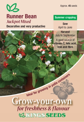 Picture of Runner Bean Jackpot Mixed 