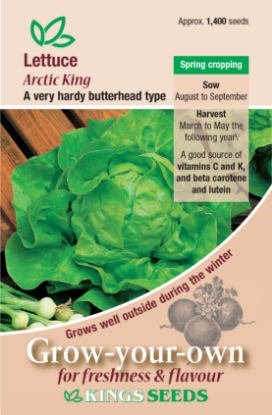 Picture of Lettuce Arctic King