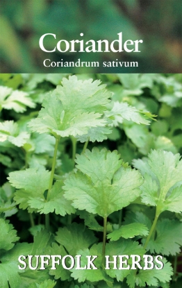 Picture of Coriander