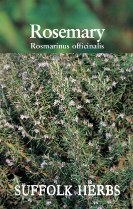 Picture of Rosemary