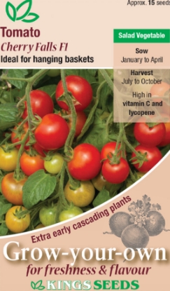 Picture of Tomato Cherry Falls F1 