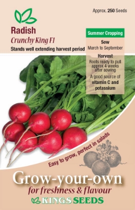 Picture of Radish - Crunchy King F1