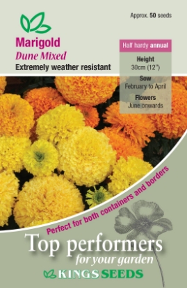 Picture of Marigold African Dune Mixed