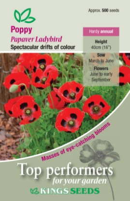 Picture of Poppy Ladybird