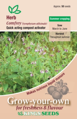 Picture of Herb Comfrey (Symphytum Officinale)