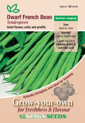Picture of Dwarf French Bean Tendergreen 