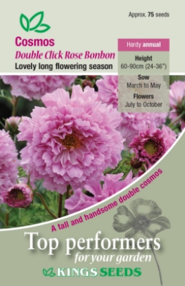 Picture of Cosmos Rose Bon Bon