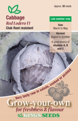 Picture of Cabbage Red Lodero F1