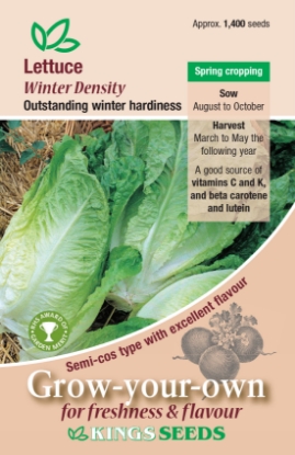 Picture of Lettuce Winter Density (Semi-Cos Type)