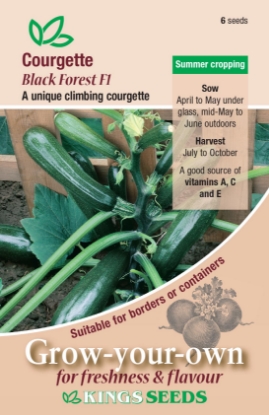 Picture of Courgette Black Forest F1