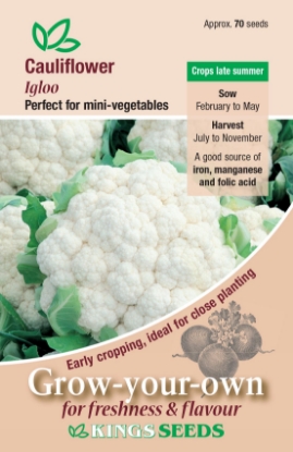 Picture of Cauliflower Igloo
