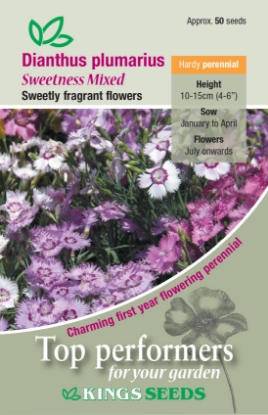 Picture of Dianthus Plumarius Sweetness Mixed