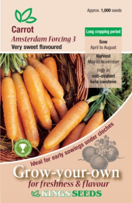 Picture of Carrot Amsterdam Forcing 3 RHS AGM