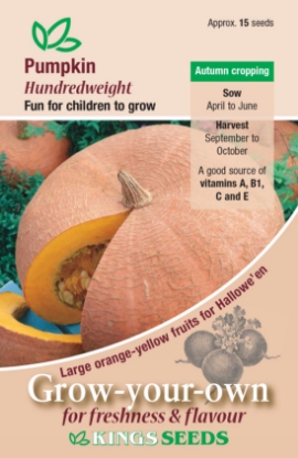 Picture of Pumpkin Hundredweight (Cucubita Maxima)