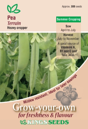 Picture of Pea Terrain 