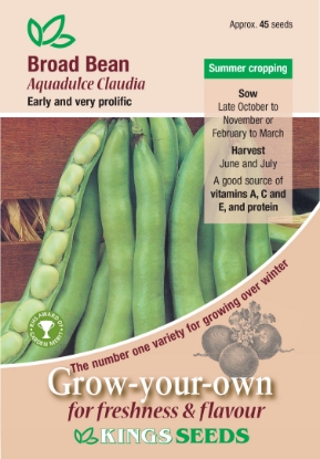 Picture of Broad Bean Aquadulce Claudia 