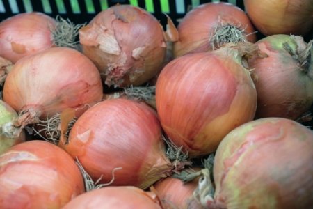 Picture for category Spring Onion Sets