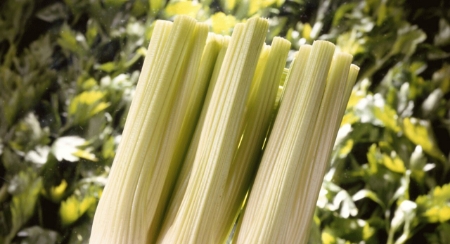 Picture for category Celery And Celeriac